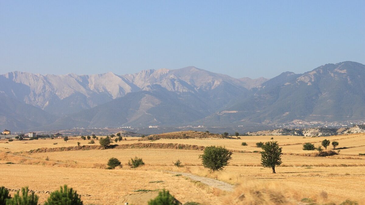 Bozkurt ilçesi ve Hambat Ovası'nın tarım arazileri ile arka planda dağlar