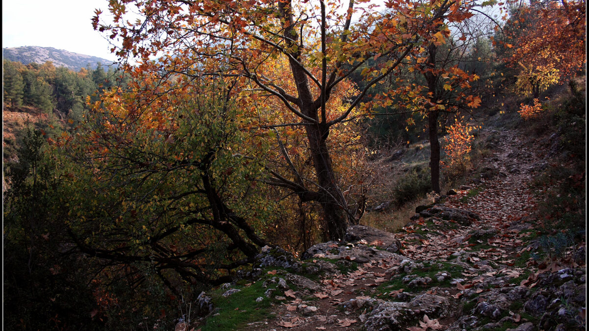 Denizli kırsal manzara
