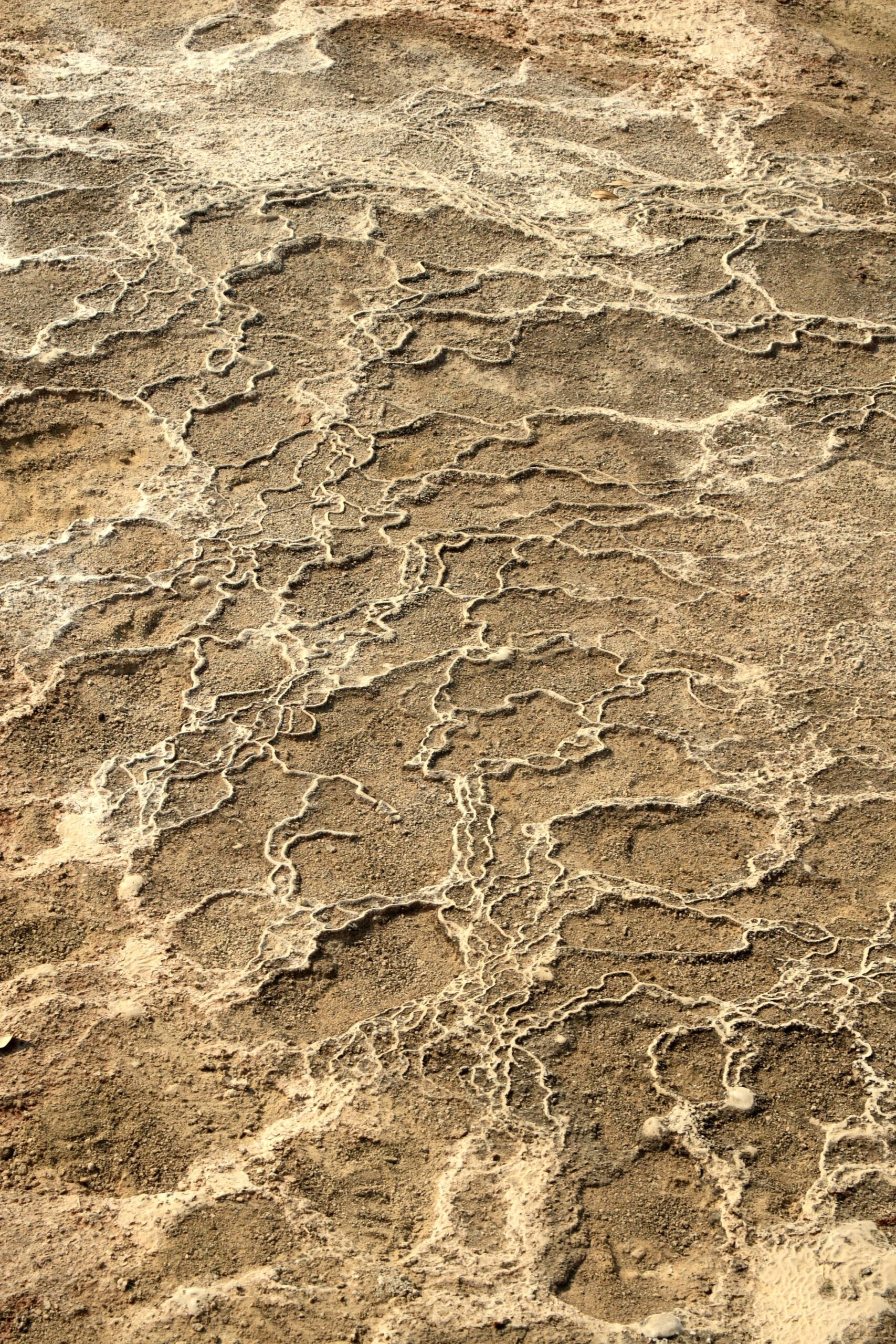 Pamukkale travertenlerinde yakından görülen katmanlı kalsiyum karbonat desenleri