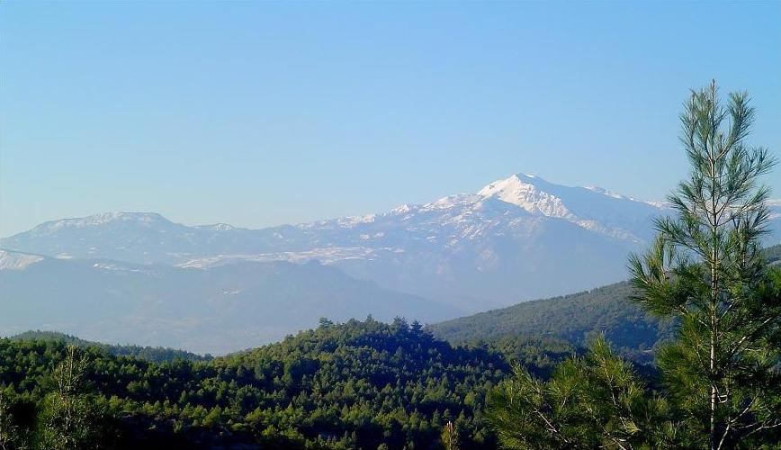 Honaz Dağı eteklerinde çam ormanı, Saklı Göl bölgesinin manzarası