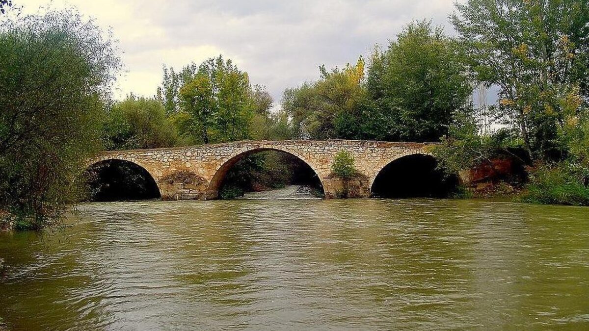 Çal ilçesinden geçen Büyük Menderes Nehri, Sudan Koyun Geçirme Yarışması'nın düzenlendiği bölge
