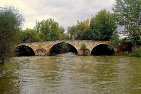 Çal ilçesinden geçen Büyük Menderes Nehri, Sudan Koyun Geçirme Yarışması'nın düzenlendiği bölge