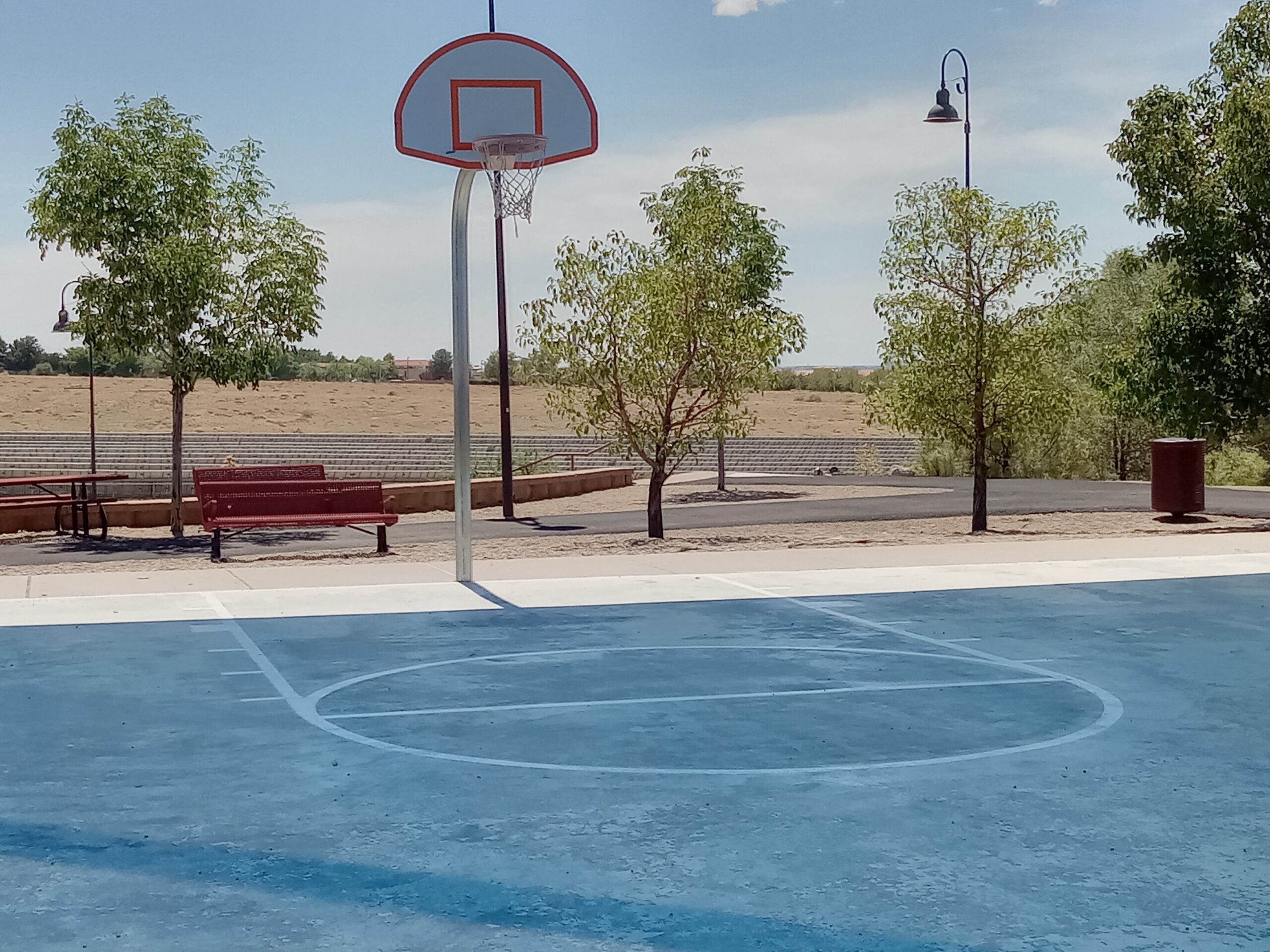 Ty Brewer Denizli Basket formasıyla oynayacağı basketbol sahası
